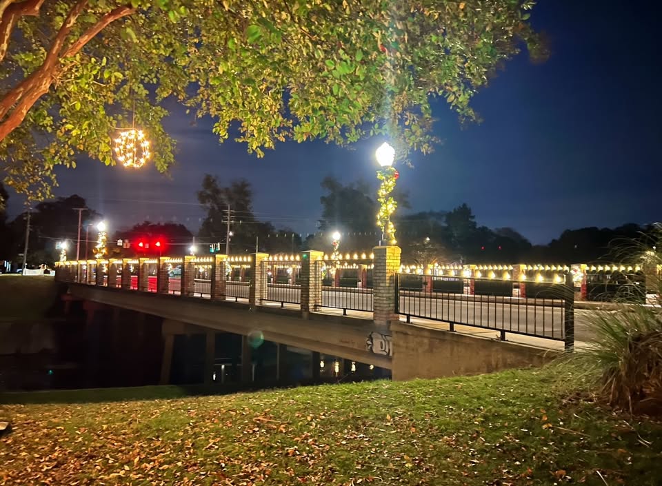 Bayou Pierre Bridge Lighting